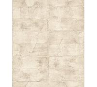 Rasch Concrete 520132 Papier peint intissé industriel Beige Gris 10,05 x 0,53 m