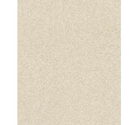Rasch Concrete 520248 Papier peint intissé universel Beige doré 10,05 x 0,53 m