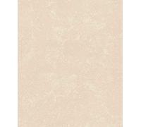 Rasch Factory V 315134 Papier peint non tissé Beige métallisé uni Aspect béton