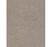 Rasch Factory V 315158 Papier peint intissé Marron foncé métallisé uni Aspect béton Structure