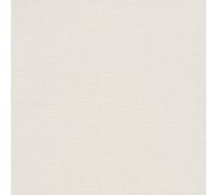 rasch Florentine II 448641 Papier peint intissé uni crème délicate 10,05 m x 53 cm (L x l)