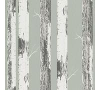 Rasch home style 285413 Papier peint - Vert - Avec troncs de bouleaux - Forêt de bouleaux - 10,05 m x 0,53 m