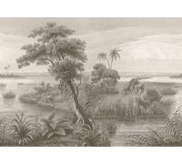 Rasch Lirico 556162 Papier peint photo non tissé avec lac et petites îles, plantes et éléphants, marron, 2,65 x 3,71 m (L x l)