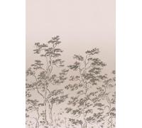 Rasch Magicwalls 360745 Papier peint photo non tissé, motif d'arbres, beige et marron, 3,00 x 2,12 m (L x l)