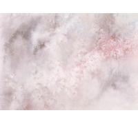Rasch Magicwalls 362954 Papier peint photo non tissé avec ciel en gris, rose et blanc, collection Magicwalls, 3,00 x 4,24 m (L x l)