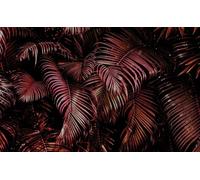 Rasch Magicwalls 363128 Papier peint photo non tissé avec feuilles de palmier rose et noir, 2,65 x 4,24 m (L x l)