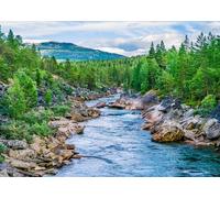 Rasch Magicwalls 363272 Papier peint photo non tissé avec ruisseau de montagne Vert et bleu 2,65 x 3,71 m (L x l)