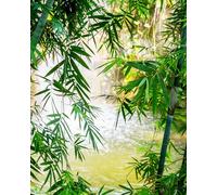 Rasch Magicwalls 363364 Papier peint photo en intissé avec feuilles et derrière lueur - Collection Magicwalls - 2,65 x 2,12 m (L x l)