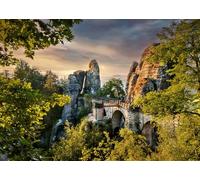 Rasch Magicwalls 363388 Papier peint photo non tissé avec vue sur rochers et arbres, gris et vert, 2,65 x 3,71 m (L x l)