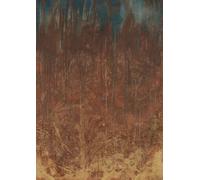 Rasch Magicwalls 364156 Papier peint photo non tissé avec mur métallique rouillé, marron, de la collection Magicwalls, 3,00 x 2,12 m (L x l)