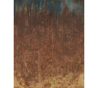 Rasch Magicwalls 364163 Papier peint photo non tissé avec mur en métal rouillé, marron, 2,65 x 2,12 m (L x l)