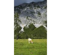 Rasch Magicwalls 364637 Papier peint photo non tissé avec montagnes et vache sur prairie Vert et gris 2,65 x 1,59 m