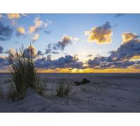 Rasch Magicwalls 364699 - Papier peint photo non tissé - Motif plage et coucher de soleil - Bleu et beige - 2,65 x 3,71 m (L x l)