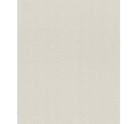 Rasch paperhangings Trianon XIII 570267 Papier peint intissé Gris 10,05 x 0,53 m