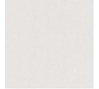 Rasch Papier peint 475517 - Papier peint intissé uni blanc avec structure grattée aspect résille - 10,05 m x 53 cm L x l