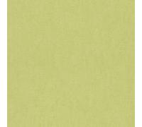 Rasch Papier peint Collection Kids et Teens II, 1 pièce, 247459