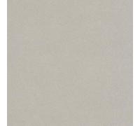Rasch Papier peint intissé 479409 - Couleur unie taupe avec structure fine et granuleuse - 10,05 m x 0,53 m (L x l)