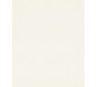 Rasch Papier peint intissé (universel) blanc 10,05 m x 0,53 m, changement de papier peint 633368, 10,05 m 0,53 m