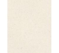 Rasch Papier peint intissé universel Blanc 10,05 x 0,53 m