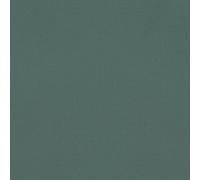 Rasch Symphony 690750 Papier peint non tissé uni Vert 10,05 m x 0,53 m
