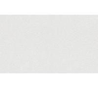 Rasch Wallton 177526 Papier peint intissé blanc avec structure en plâtre de la collection Wallton, Repeint, 25 m x 1,06 m