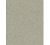 Rasch WTD 520279 Papier peint non tissé avec structure 3D et aspect usé de la collection Concrete Vert 10,05 x 0,53 m