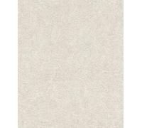 Rasch WTD 699814 Papier peint non tissé uni Aspect plâtre léger Aspect béton Beige