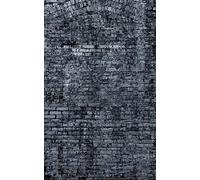 Rasch WTD 940947 Papier peint photo non tissé effet pierre Gris/bleu 3 x 1,86 m