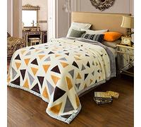 Raschel Couverture polaire 100 % fibre de polyester pour très grand lit, double couche épaissie, chaude, confortable, moelleuse pour chambre à coucher, salon, hiver, lit simple et double (Style 16