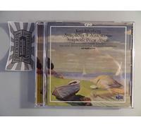 Rasilainen - Kurt Atterberg: Symphony No. 9 34Visionaria Symphonic Poem 34Älven34 [Import]