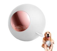 Rasoir Anti-Bouloche Rouleau Anti-Peluches Réutilisable, Rouleau Poils Animaux, Rouleaus Adhesif Vetement, Boule Rouleaus Anti-Peluches Portable pour Vêtements, Lit, Tapis, Canapé