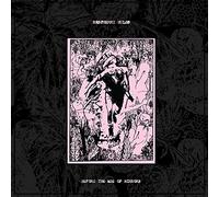 Raspberry Bulbs - Before The Age of Mirrors