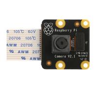 Raspberry Pi PiNoir Camera Module V2.1 Cámara Multicolor