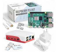 Raspberry Pi 4 1 Go Starter Kit | Alimentation Officielle 15W | Boîtier Officiel | Carte mémoire de 64 Go | Câble 4k Micro HDMI | Kit dissipateur Thermique