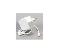 Raspberry Pi - Alimentation électrique - 27 Watt - 5 A - PD (USB-C) - sur le câble : USB-C - blanc - Europe
