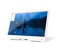 Raspberry Pi Foundation Moniteur LCD SC0940 CEE B (A - G) 15,6 pouces 1920×1080 HDMI USB‑C jack
