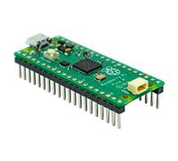 Rasppishop Raspberry Pi Pico (au choix entre RPi Pico W ou RPi Pico H) avec autocollant (Raspberry Pi Pico H)