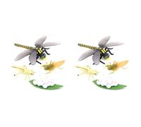 Rastapulz 2 x Cycle de vie d'une libellule Insectes Vie Cycles de Croissance Modèle Enfants Animal Croissance Cycle Science Jouet éducatif