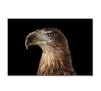 Rastapulz 5V HJ-111 Pompe à eau Poisson Aquarium Plongée Pompe Ultra Silencieux Ménage Multifonctionnel DIY Conversion Filtre Pompe