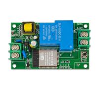 Rastapulz Bloc d'alimentation à relais simple canal 30 A CA 220 V avec carte de développement WiFi Bluetooth