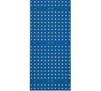 RasterPlan Panneau perforé l.450xL1000 mm bleu gentiane, RAL 5010