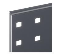 RASTERPLAN Panneau perforé l450xL500mm ( 9000428174 )