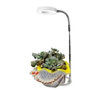 RASTKY Anneau D'ange à intensité Variable, Lumière à Spectre Complet pour Plantes, Imitation de la Lumière du Soleil, de Croissance LED Saine, Lampe Enfichable 5W pour Plantes en Pot, Minuterie de