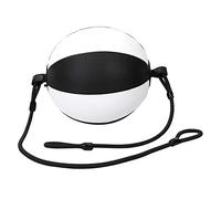 RASTKY BallTraining FitnessSac de Frappe avec Cordes SuspenduesVitesse, Endurance et Précision Améliorées - Conception en Cuir PUKickboxing, Pratique et de Frappe