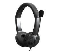 RASTKY Casque Filaire USB Antibruit avec Casque D'ordinateur sur L'oreille pour écouteurs de Centre D'appels, Bandeau Réglable pour Les Conférences Téléphoniques d'affaires au Bureau, Noir