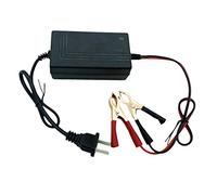 RASTKY Chargeur de Batterie 12V avec Chargeur de Batterie de 2 Clips, Chargeur de Batterie Marine, Chargeur de Filet de Batterie de Voiture, Désulfateur de Batterie