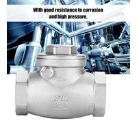 RASTKY Clapet Anti-retour à Battant DN25 Résistant à la Corrosion avec une Bonne capacité d'étanchéité pour une Utilisation à Long Terme