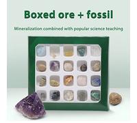 RASTKY Coffret Cadeau de Collection de 20 Mini Pierres D'agate en Cristal Naturel, Pierres Brutes de 12 à 16 Mm pour la Méditation, L'équilibre des Chakras, 66 G de Minerai et de Spécimens de