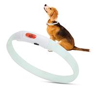 RASTKY Collier LED Réglable pour Chien et Chat, Chargement USB, sécurité, Rechargeable, Anti-Perte, Confortable, Non Toxique, pour Petit Chien, Chat, Silicone Blanc, 21,7 X 0,8 Pouces (lumières
