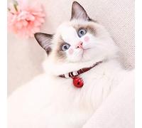 RASTKY Collier pour Chat de Style Japonais avec Cloche, Collier pour Animaux de Compagnie en Nylon Doux pour la Peau pour Un Ajustement Réglable, Diamètre de Cloche de 2 Cm, Accessoires pour Chats